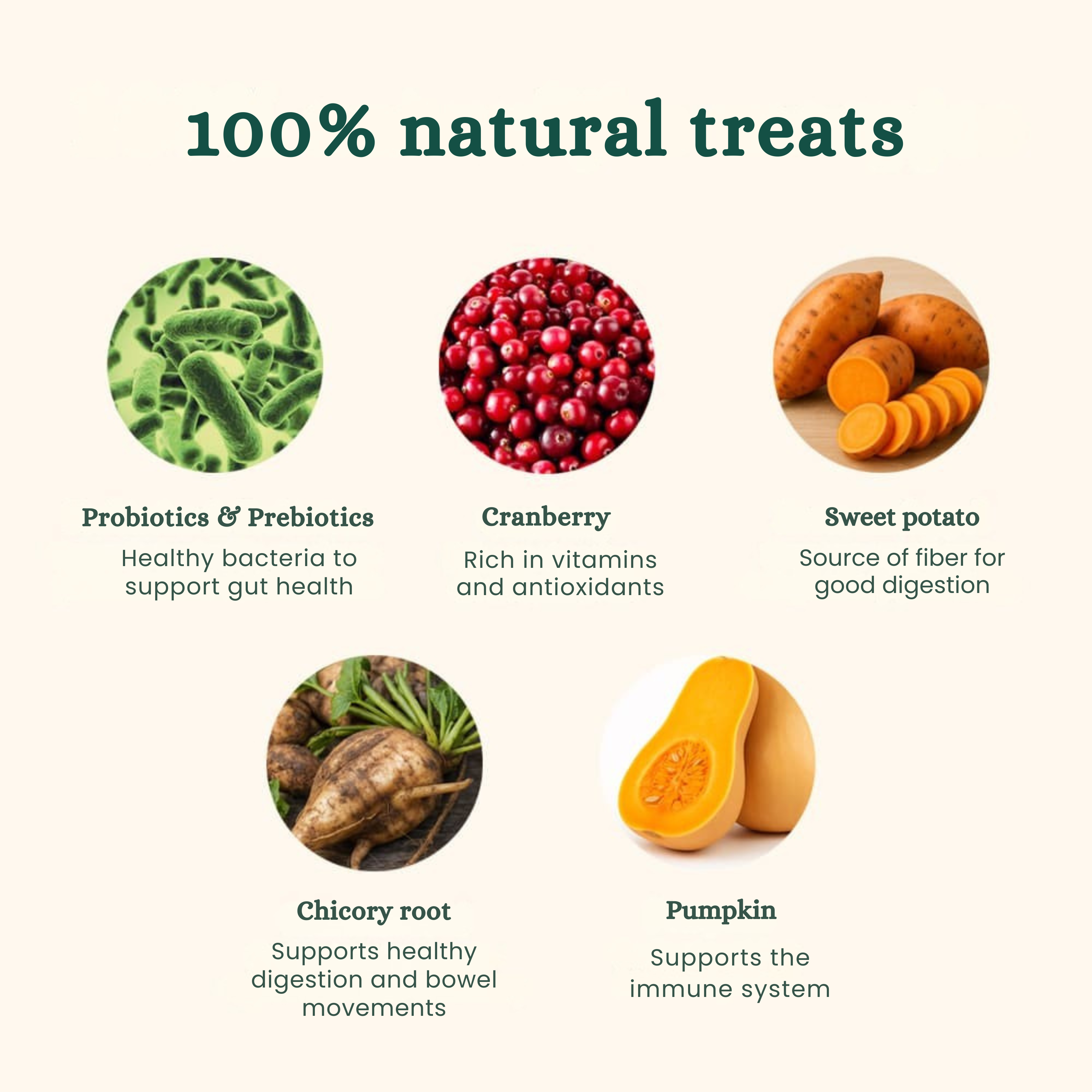 Probiotics | Anti-Itch & Gut Health