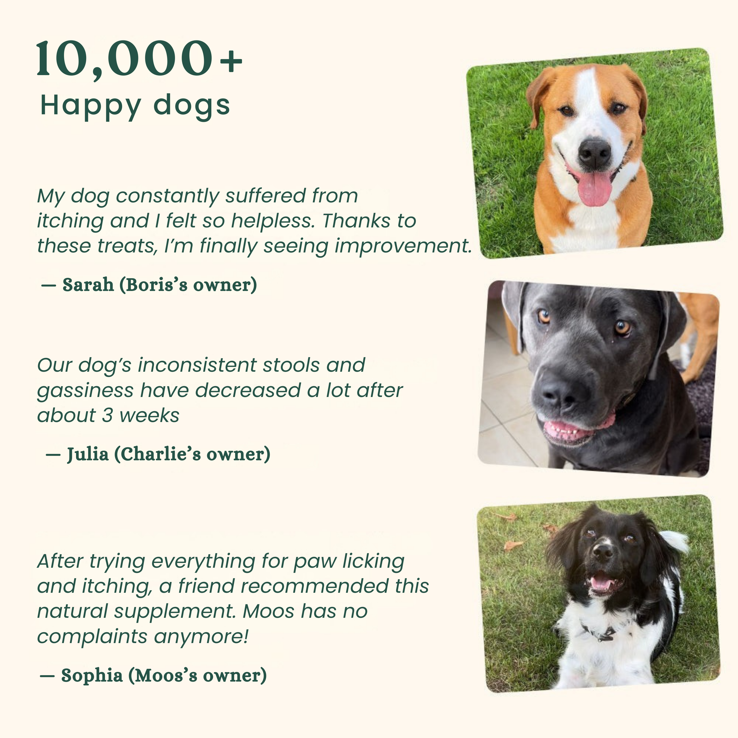 Probiotics | Anti-Itch & Gut Health