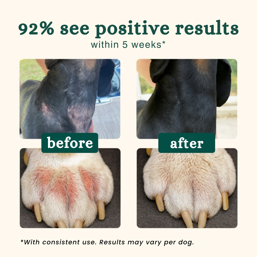 Probiotics | Anti-Itch & Gut Health