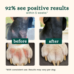 Probiotics | Anti-Itch & Gut Health