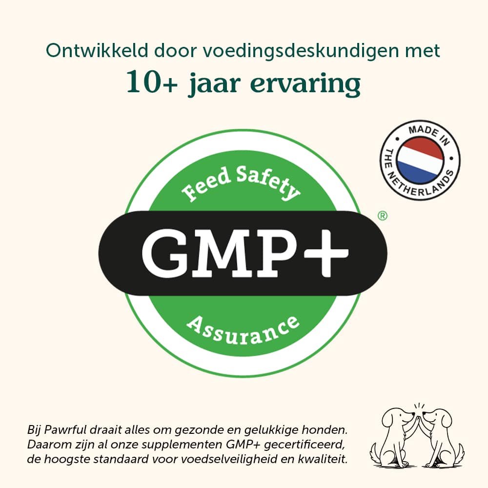 Probiotics | Anti-Itch & Gut Health