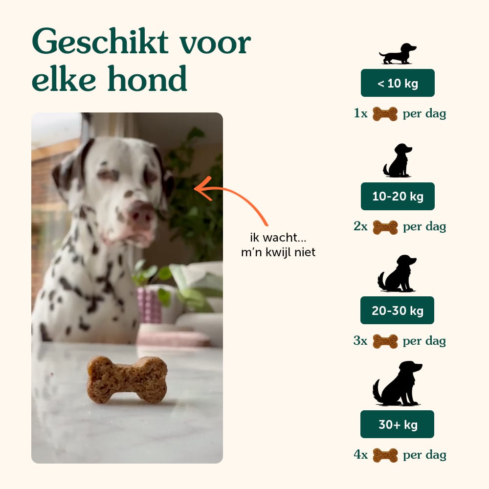 Probiotics | Anti-Itch & Gut Health