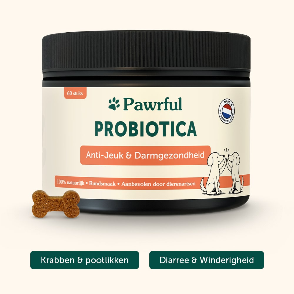 Probiotics | Anti-Itch & Gut Health