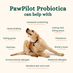 Probiotics | Anti-Itch & Gut Health