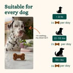 Probiotics | Anti-Itch & Gut Health