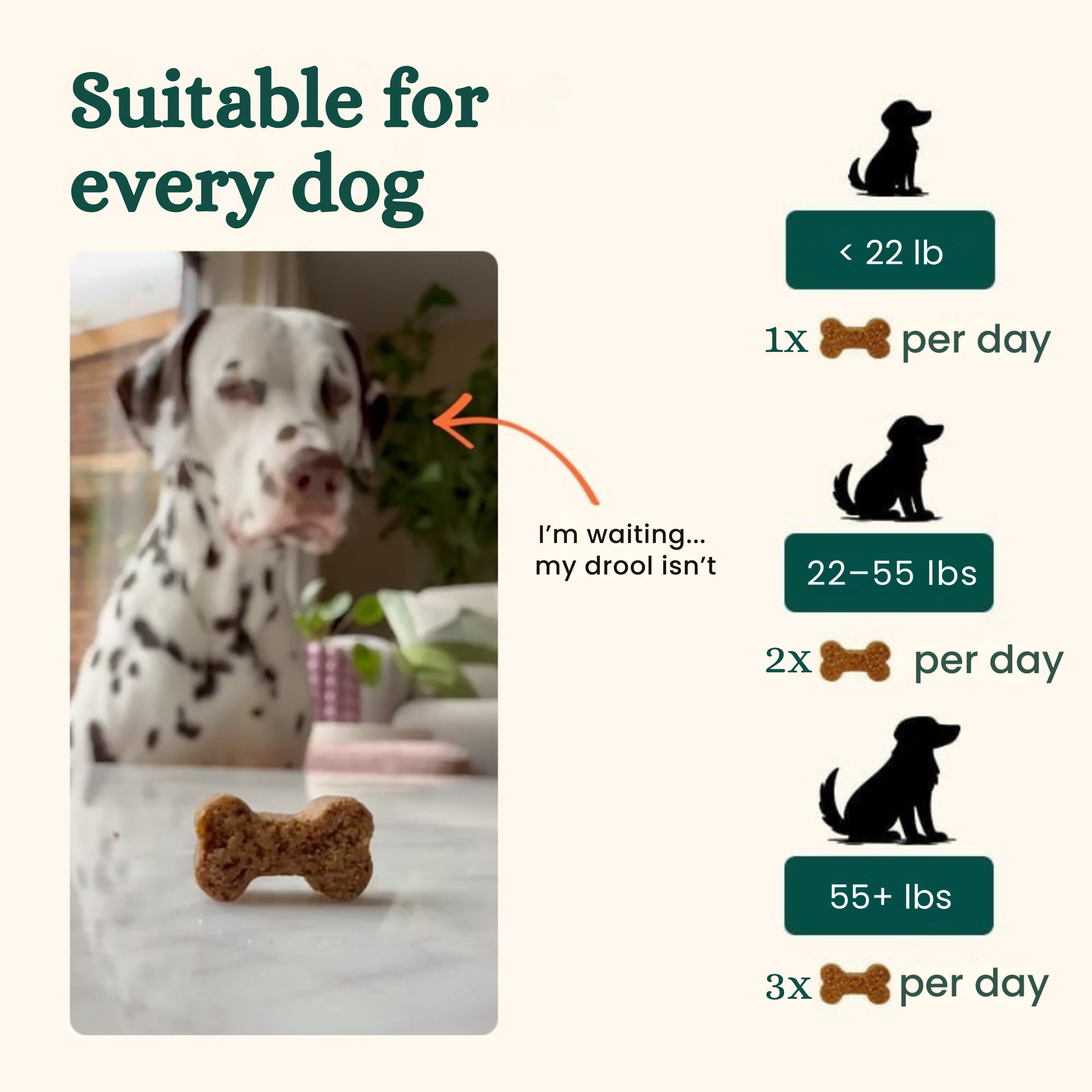 Probiotics | Anti-Itch & Gut Health